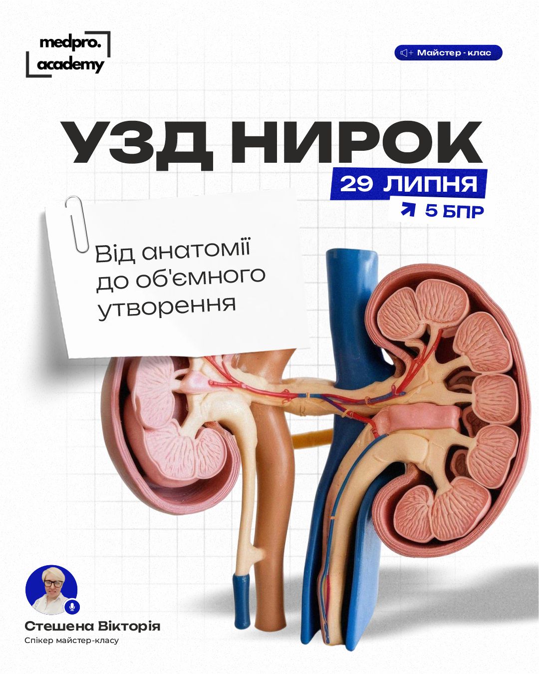 3Ультразвукова діагностика нирок норма та патологія